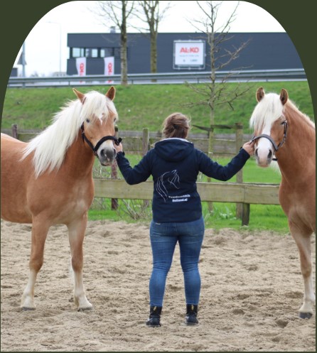 PaardencoachHolland PaardencoachHolland