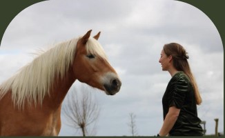 PaardencoachHolland PaardencoachHolland