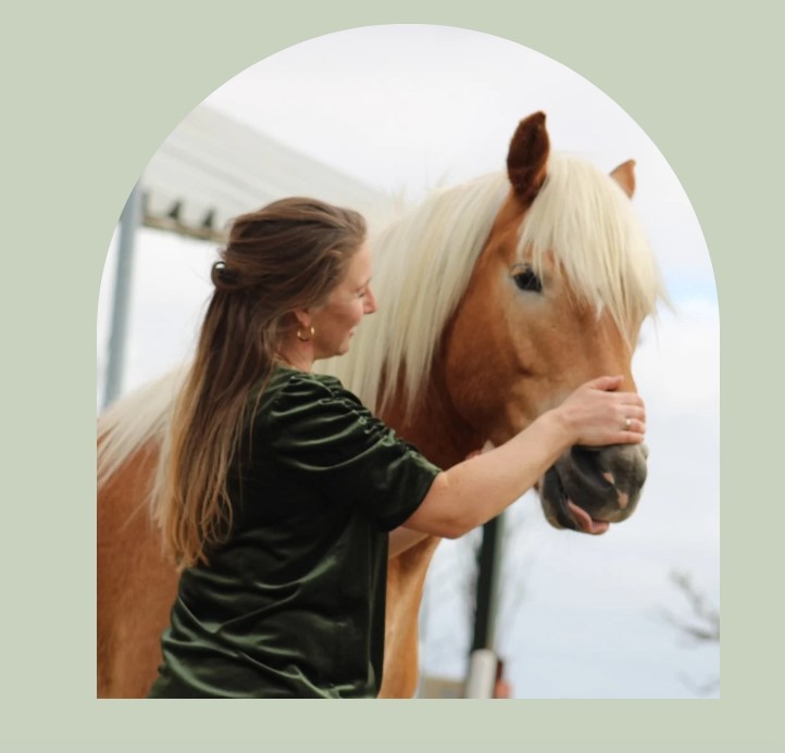PaardencoachHolland PaardencoachHolland