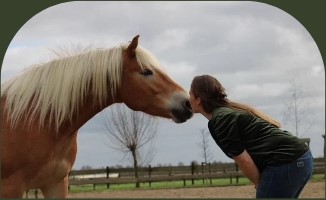 PaardencoachHolland PaardencoachHolland