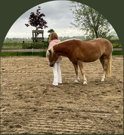 PaardencoachHolland PaardencoachHolland