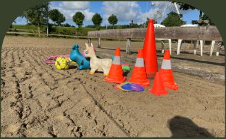 PaardencoachHolland PaardencoachHolland