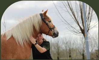 PaardencoachHolland PaardencoachHolland