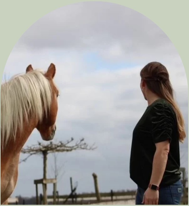 PaardencoachHolland PaardencoachHolland