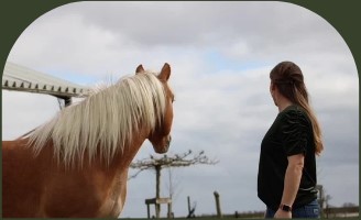 PaardencoachHolland PaardencoachHolland