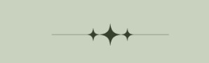 PaardencoachHolland PaardencoachHolland