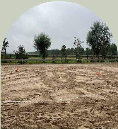 PaardencoachHolland PaardencoachHolland