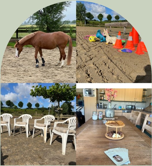 PaardencoachHolland PaardencoachHolland