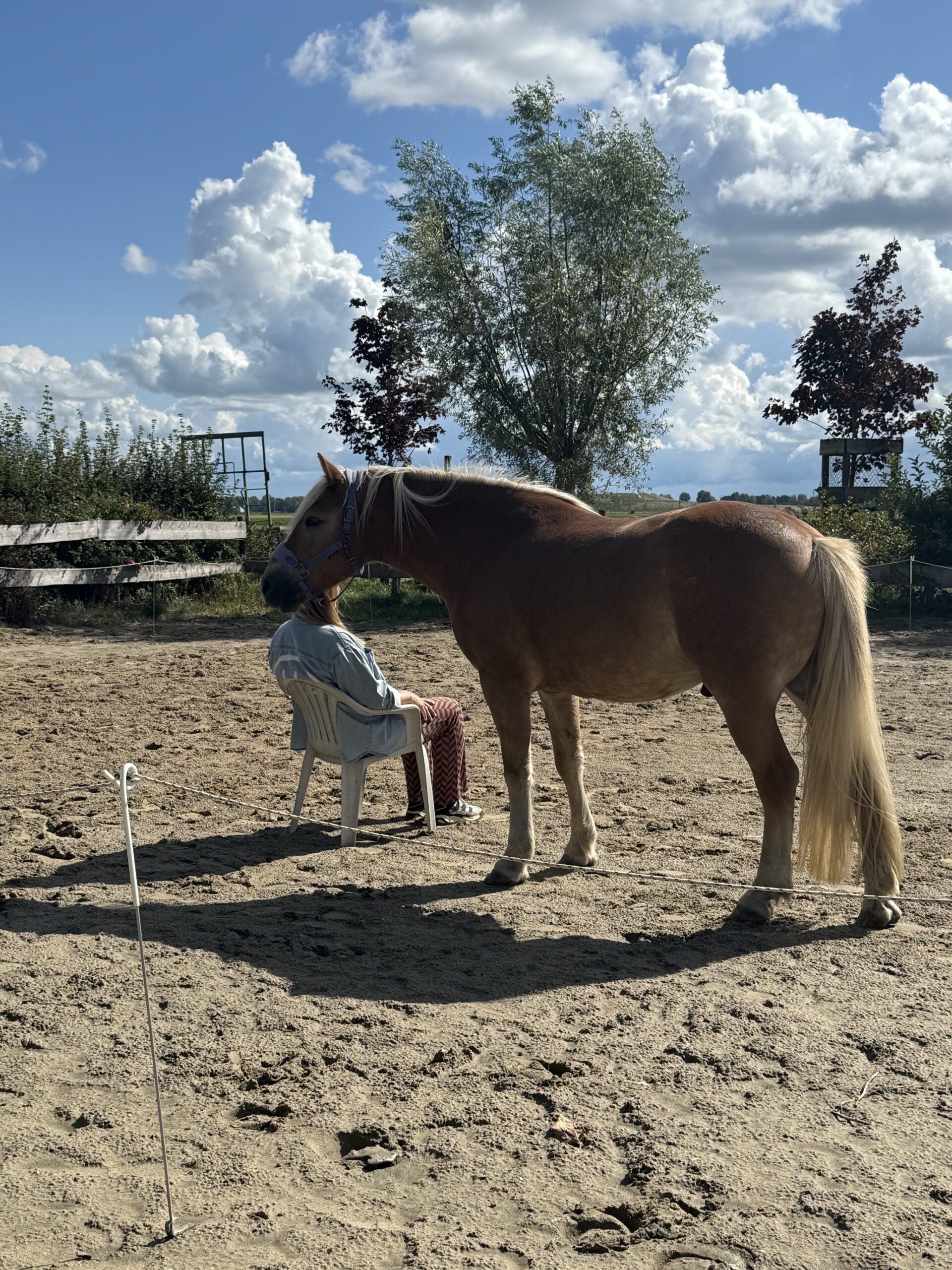 Gewoon zijn - in alle rust